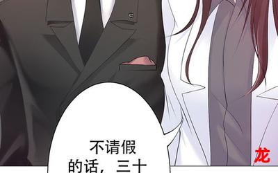 极品男《漫画免费版》（下拉式）（全文免费阅读）