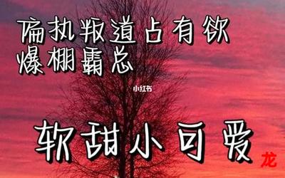 浴爱完整版(全文免费阅读)【无弹窗】